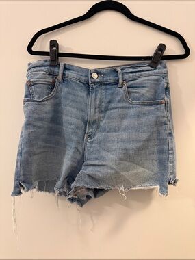 American Eagle Outfitters Light Wash Distressed Denim Shorts
